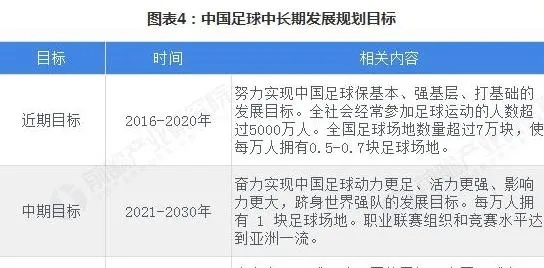 中国足球的现状及可行的发展对策分析